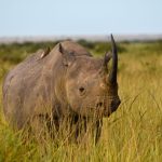 WhatsApp Image 2025-08-22 at 05.21.45_188fd31a