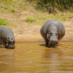 DSC_1059-scaled-820x520 (1)