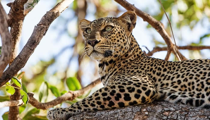 WhatsApp Image 2025-08-04 at 17.26.10_f4a8cd12