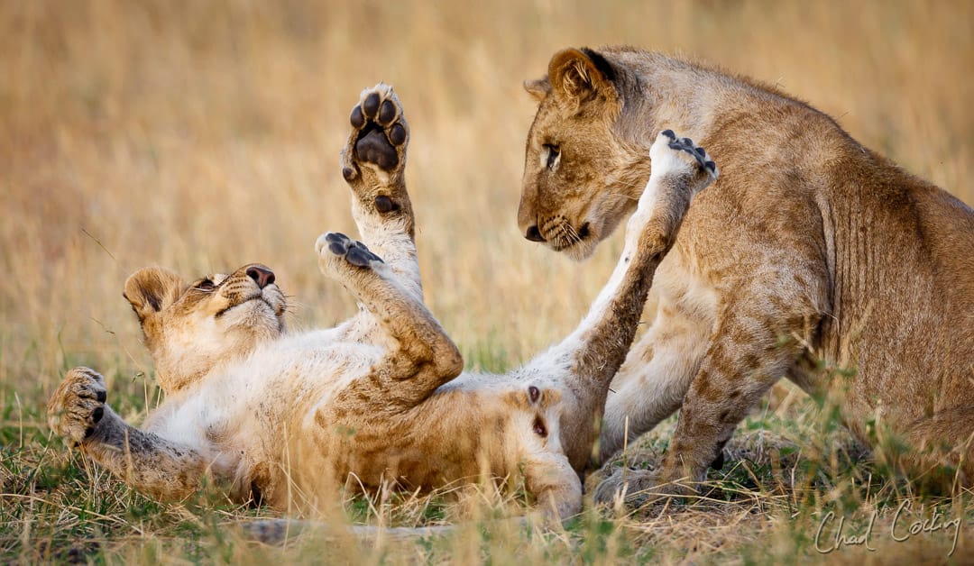 WhatsApp Image 2025-08-04 at 17.26.11_074cba39