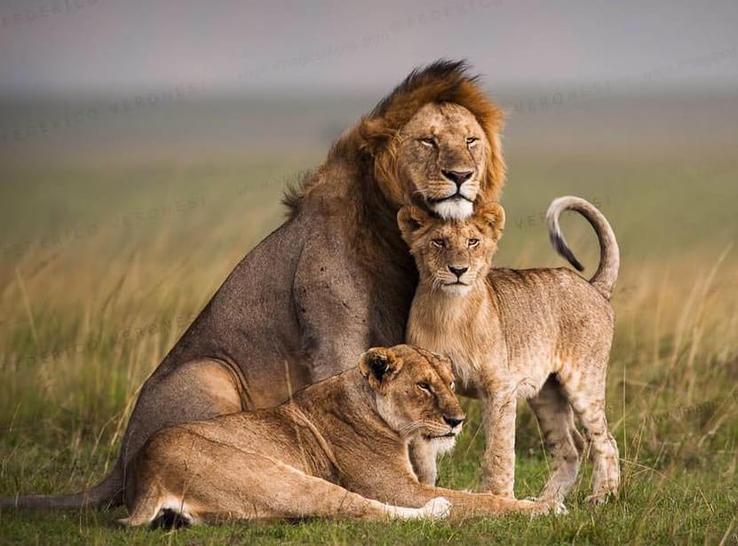 WhatsApp Image 2025-08-04 at 17.26.11_cc2e487b