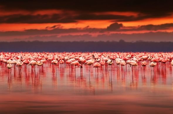 WhatsApp Image 2025-08-04 at 17.26.12_dfff4d3e