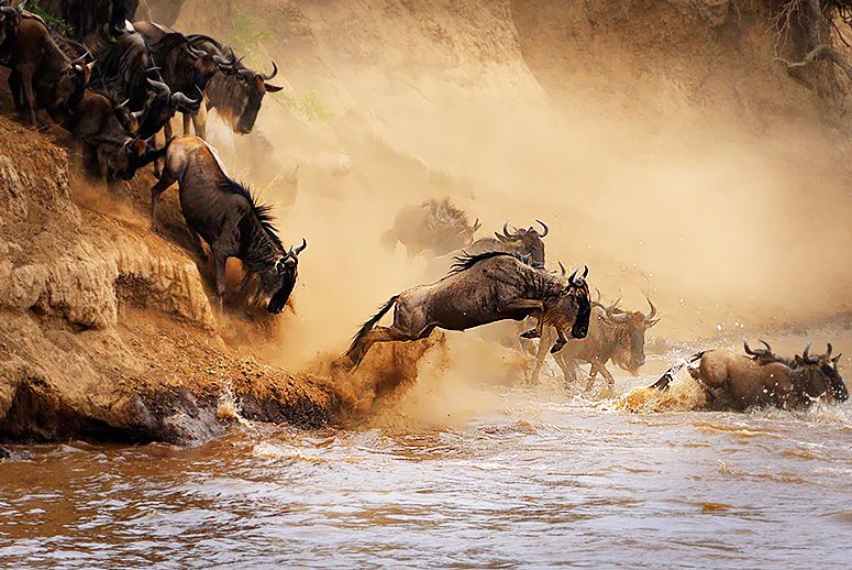 WhatsApp Image 2025-08-04 at 17.30.30_a751b437