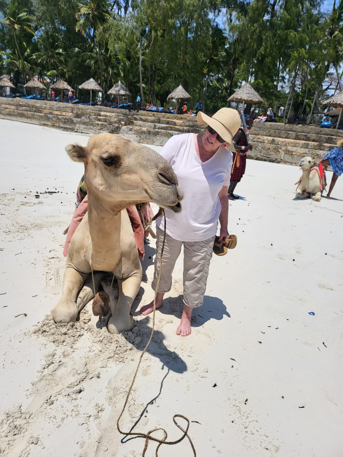 WhatsApp Image 2025-08-04 at 17.35.42_9805db3c